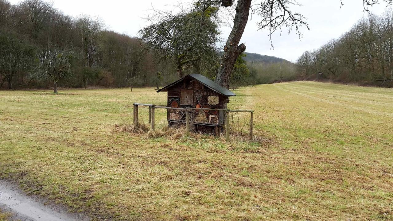 Haus Mit Seele Im Nahetal Weinsheim  Екстериор снимка